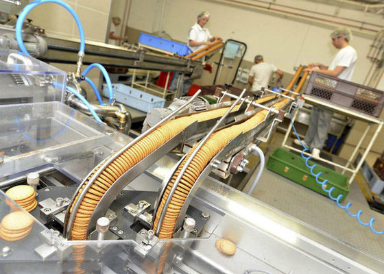 中国 クッキーのビスケットの生産ライン包装のコンベヤ・システムの長い耐用年数 サプライヤー