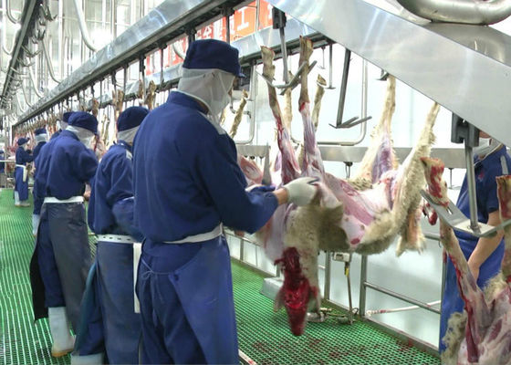 中国 ヤギのマトン全処理のタイプを運ぶ割れた肉生産ライン虐殺 サプライヤー