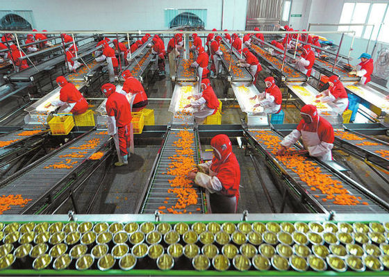 中国 プラスチック コップの缶詰食品の生産ライン、果物と野菜のプロセス用機器 サプライヤー