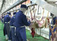 ヤギのマトン全処理のタイプを運ぶ割れた肉生産ライン虐殺 サプライヤー