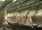 ヤギのマトン全処理のタイプを運ぶ割れた肉生産ライン虐殺 サプライヤー