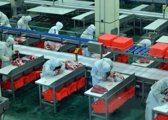 中国 ビーフ割れた肉生産ライン/100-300 1時間あたりの加工ライン牛は促進します サプライヤー