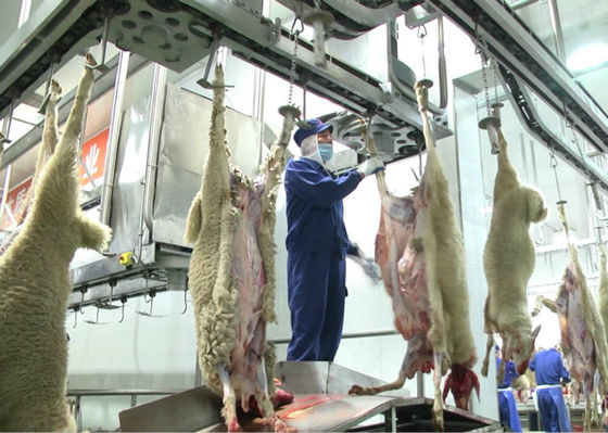 中国 子ヒツジ割れた肉生産ライン、これからのプロセス工業生産ライン サプライヤー