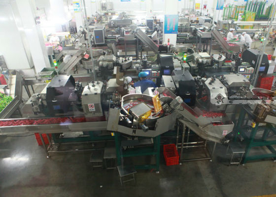 中国 ハムのソーセージの生産ライン/加工ライン ホット ドッグのサラミの処理システム サプライヤー