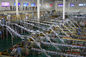 自動化された煉瓦-純粋な/再構成されたミルクのための包まれた酪農場の生産ラインを形づけて下さい サプライヤー